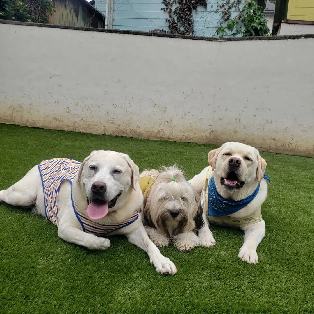 今日はいつもより涼しくて快適でした😊