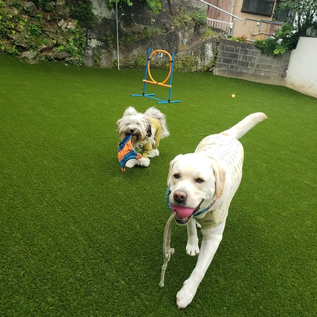 今日はいつもより涼しくて快適でした😊