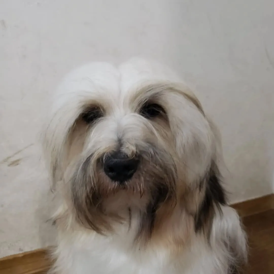 今日も楽しく遊んだロデイとまーちゃん♥️