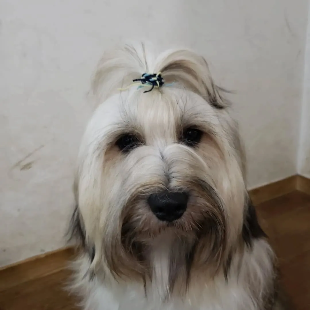 今日も楽しく遊んだロデイとまーちゃん♥️