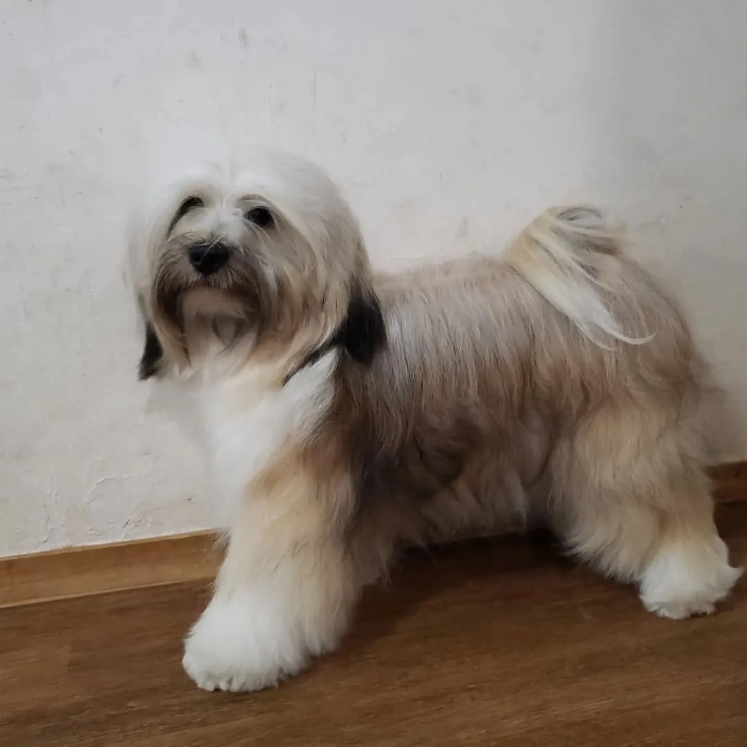 今日も楽しく遊んだロデイとまーちゃん♥️