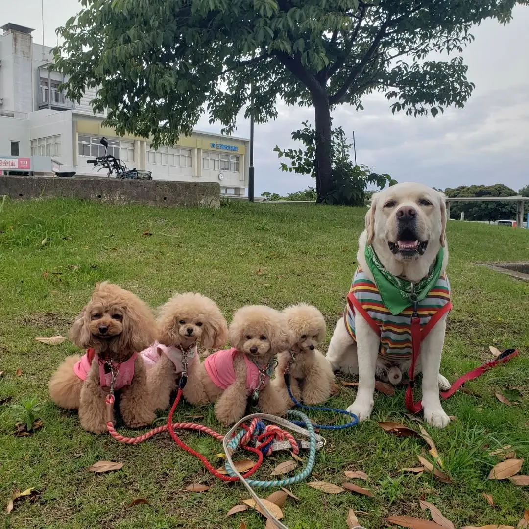 可愛い子ちゃんたちが揃いました😊