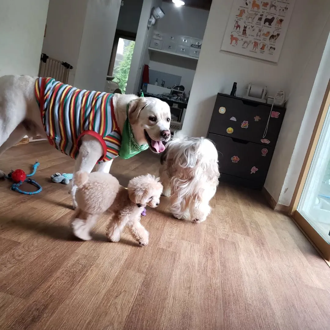 可愛い子ちゃんたちが揃いました😊