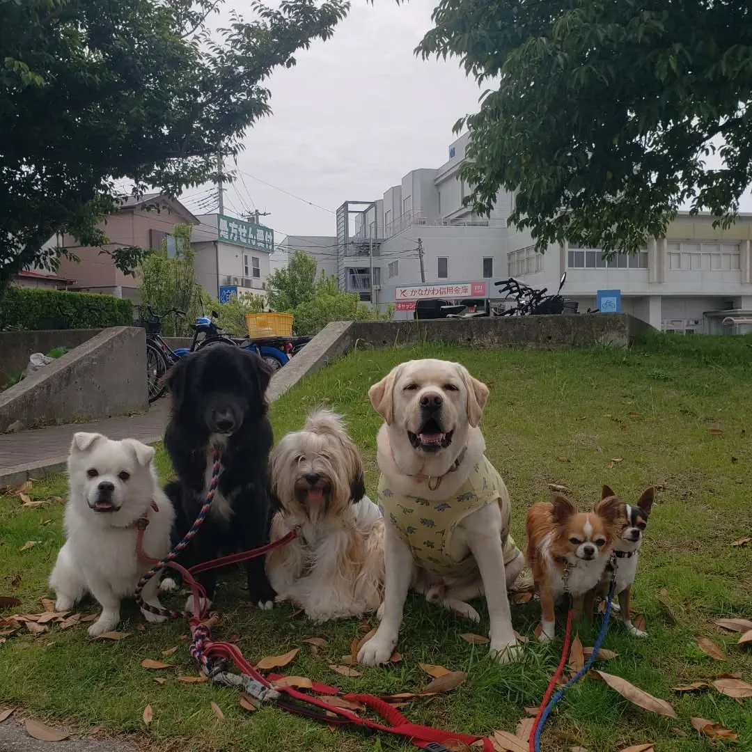 今日は曇り☁️