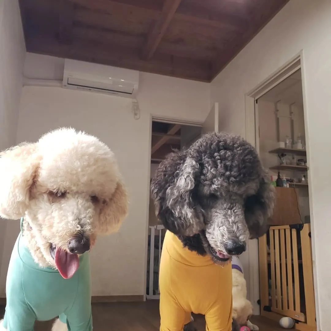 幼稚園にきてくれたリオ君とシンハー君♥️