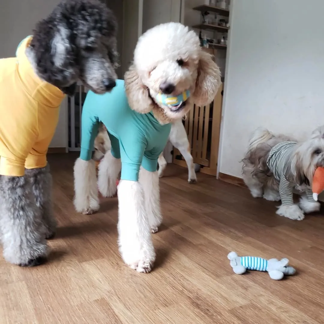 幼稚園にきてくれたリオ君とシンハー君♥️