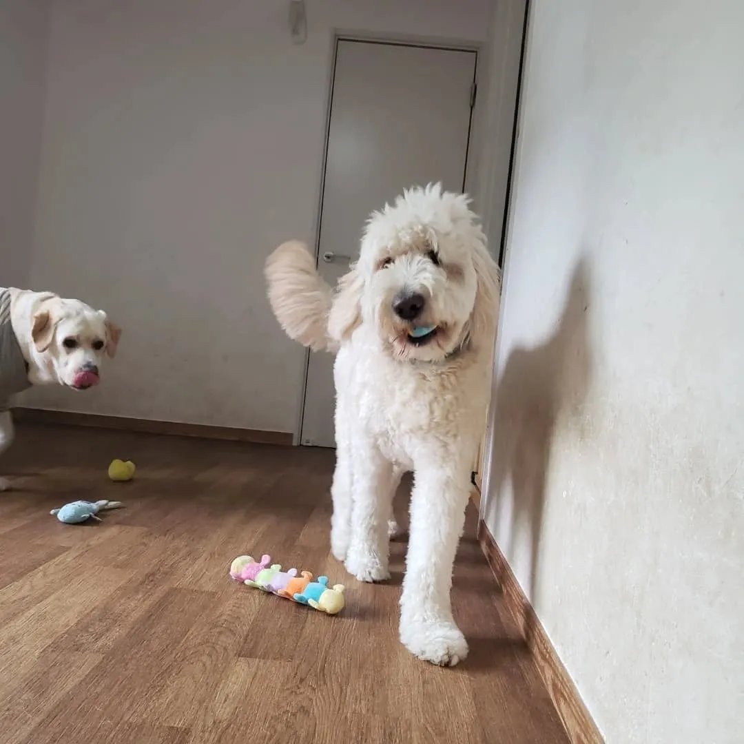 今日は1日中☔なのでお部屋でおもちゃ遊びしたりのんびりしたり...