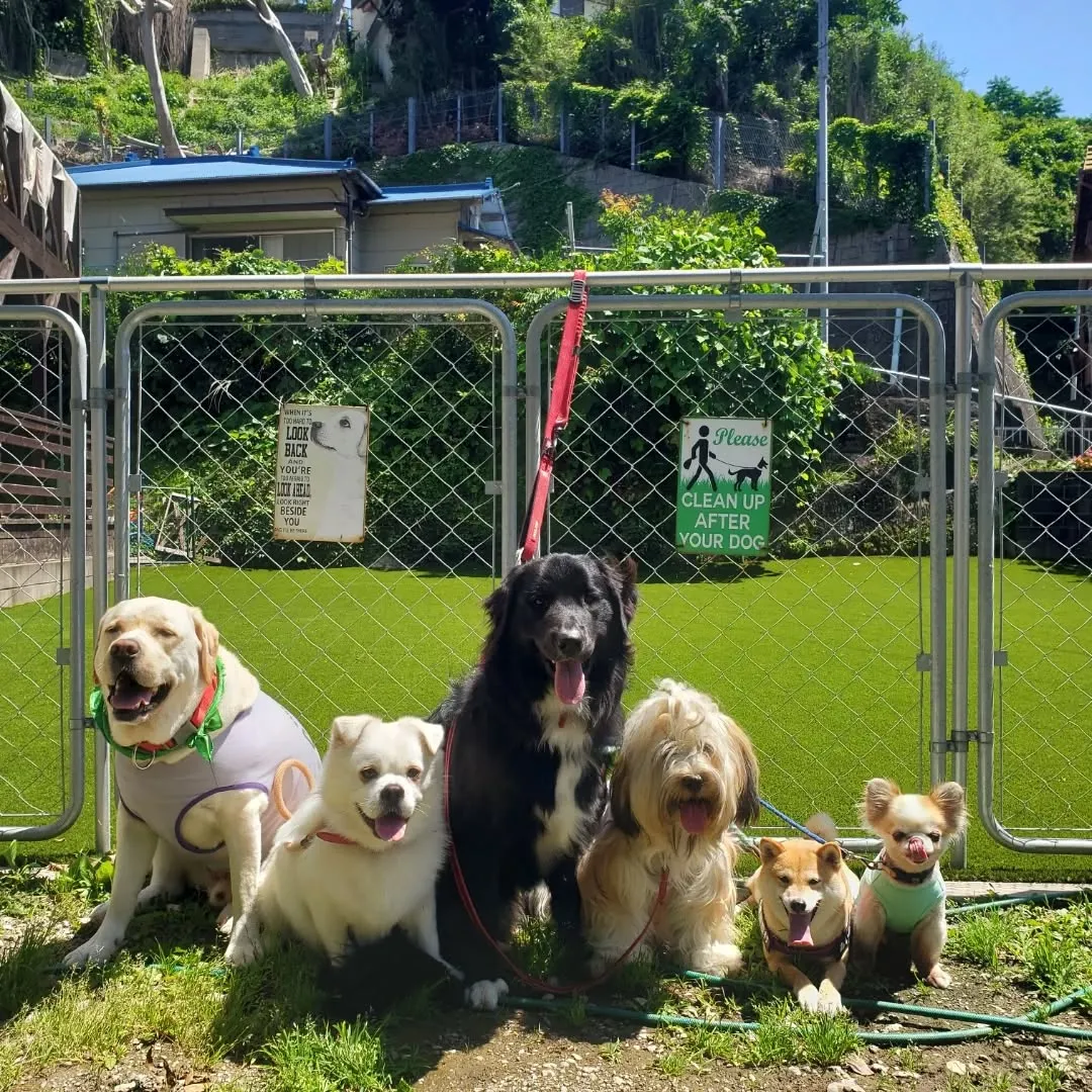 良いお天気になりました😊