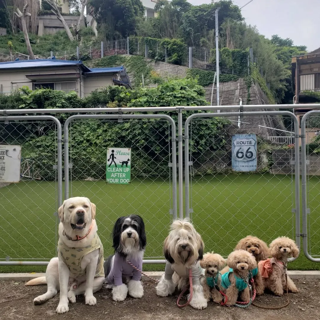 ちびっこたちがたくさん来てくれました😊