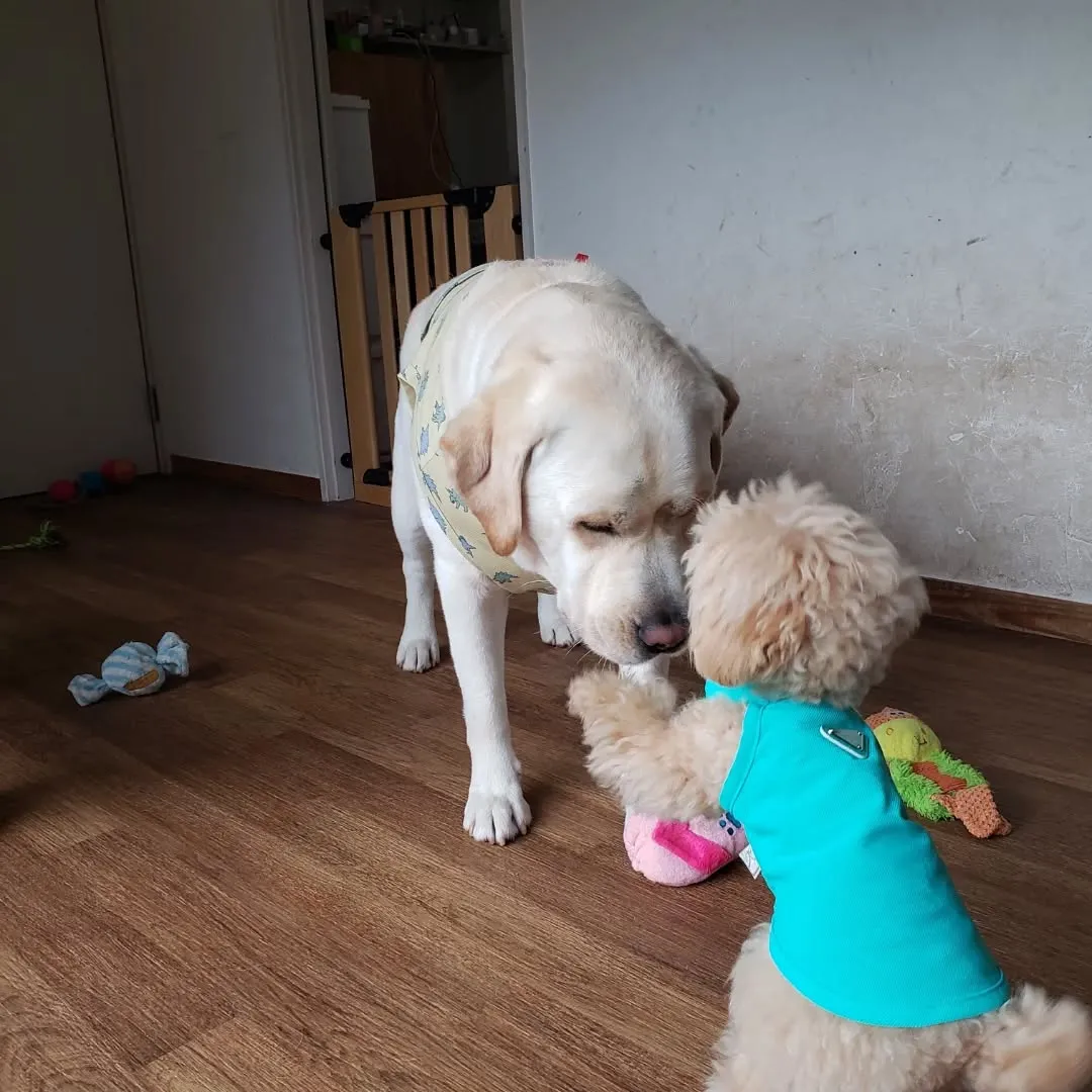 ちびっこたちがたくさん来てくれました😊