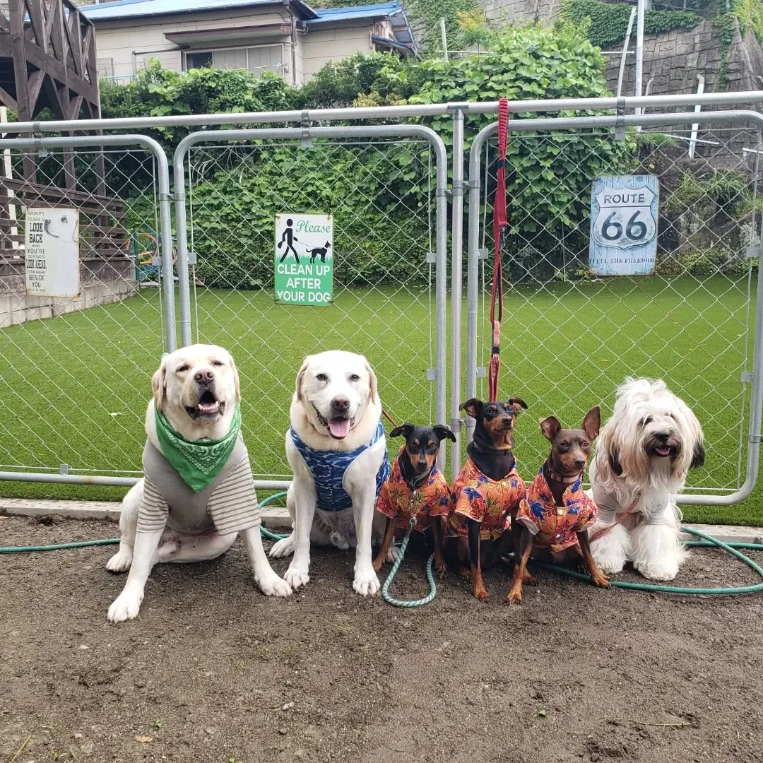 朝から雲っていて雨予報だったけど雨にもうたれずなんとかランで...