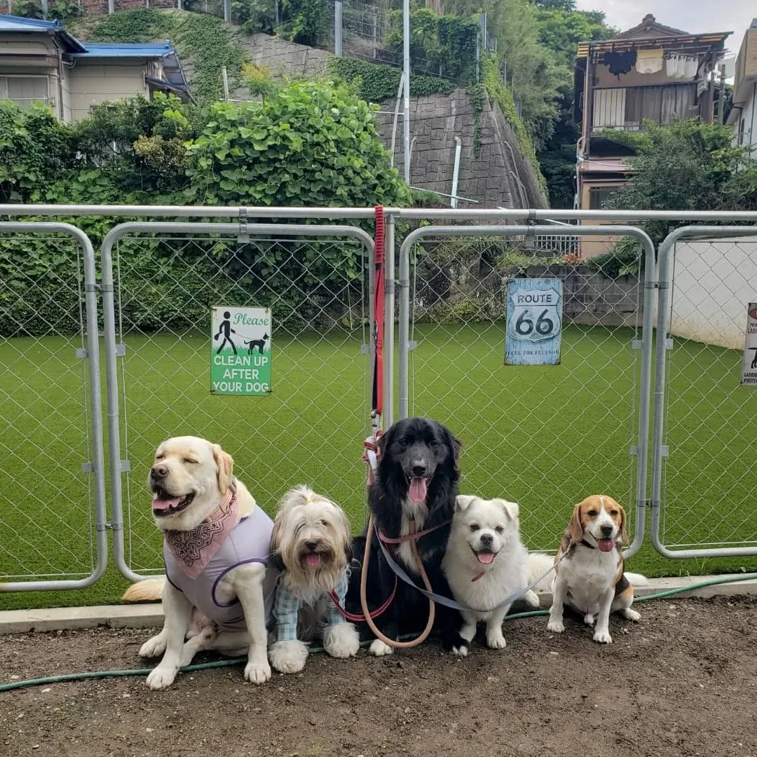 わんぱく男子集まりました😊