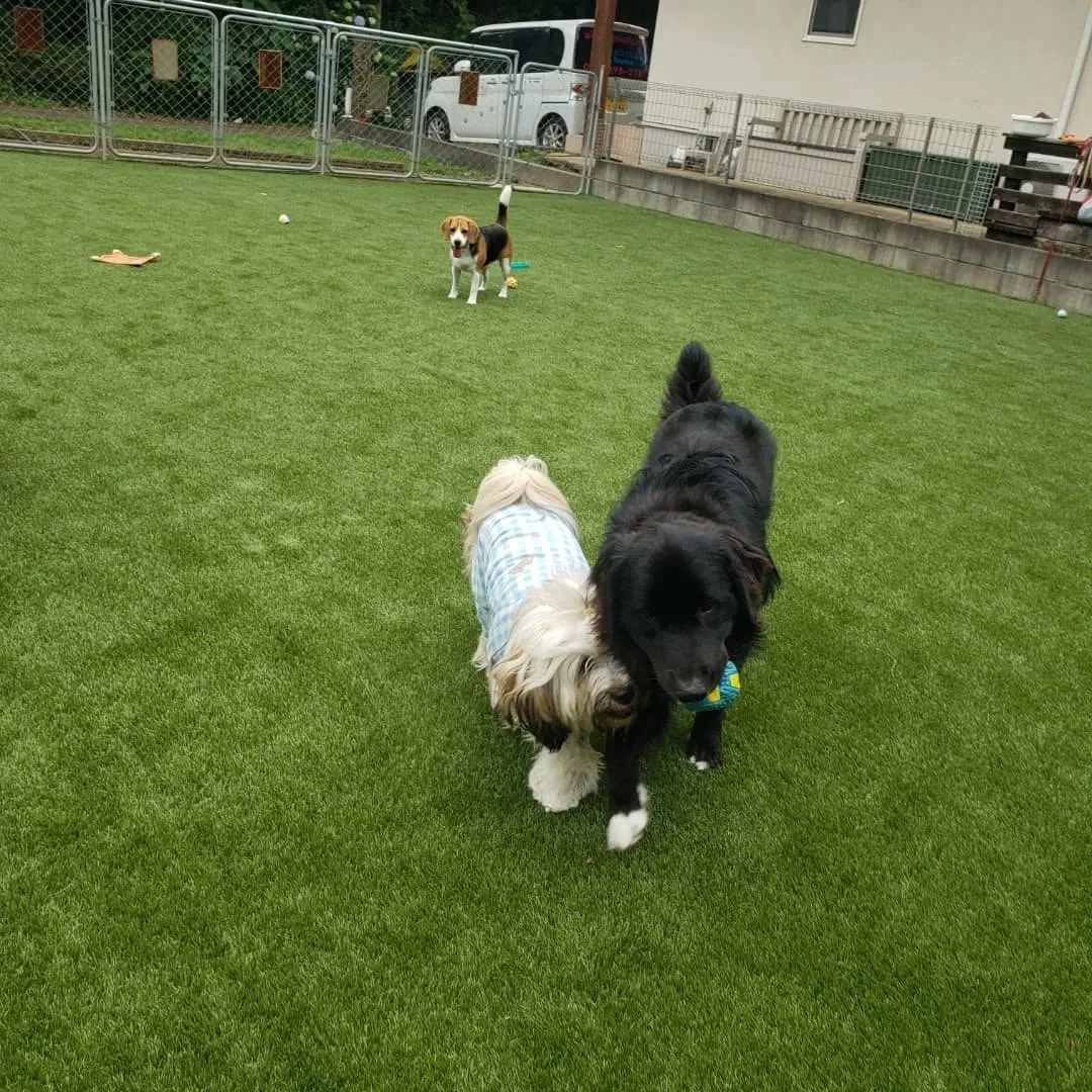 わんぱく男子集まりました😊