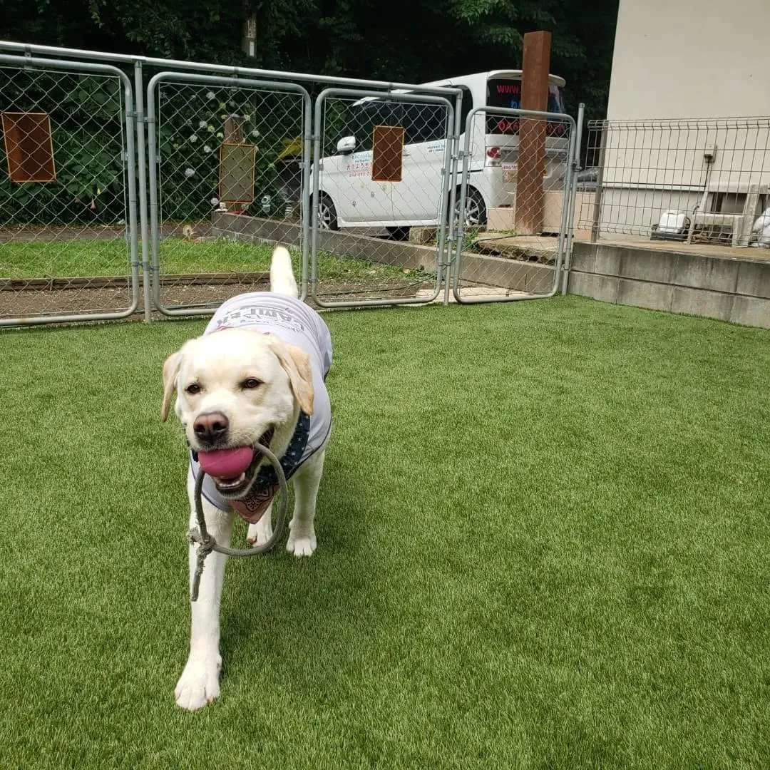 わんぱく男子集まりました😊