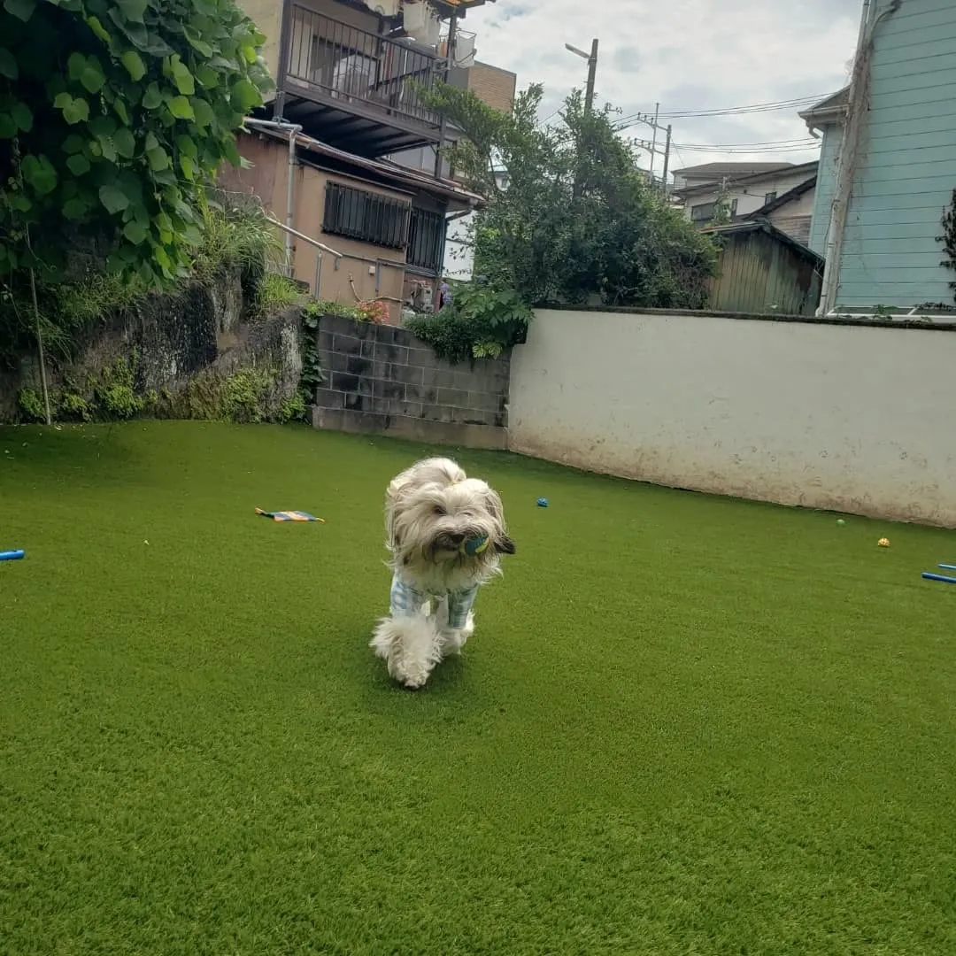 わんぱく男子集まりました😊