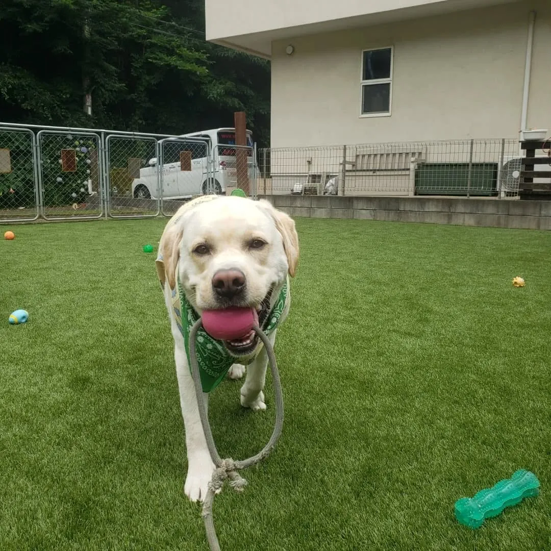 急に暑くなってきました😅