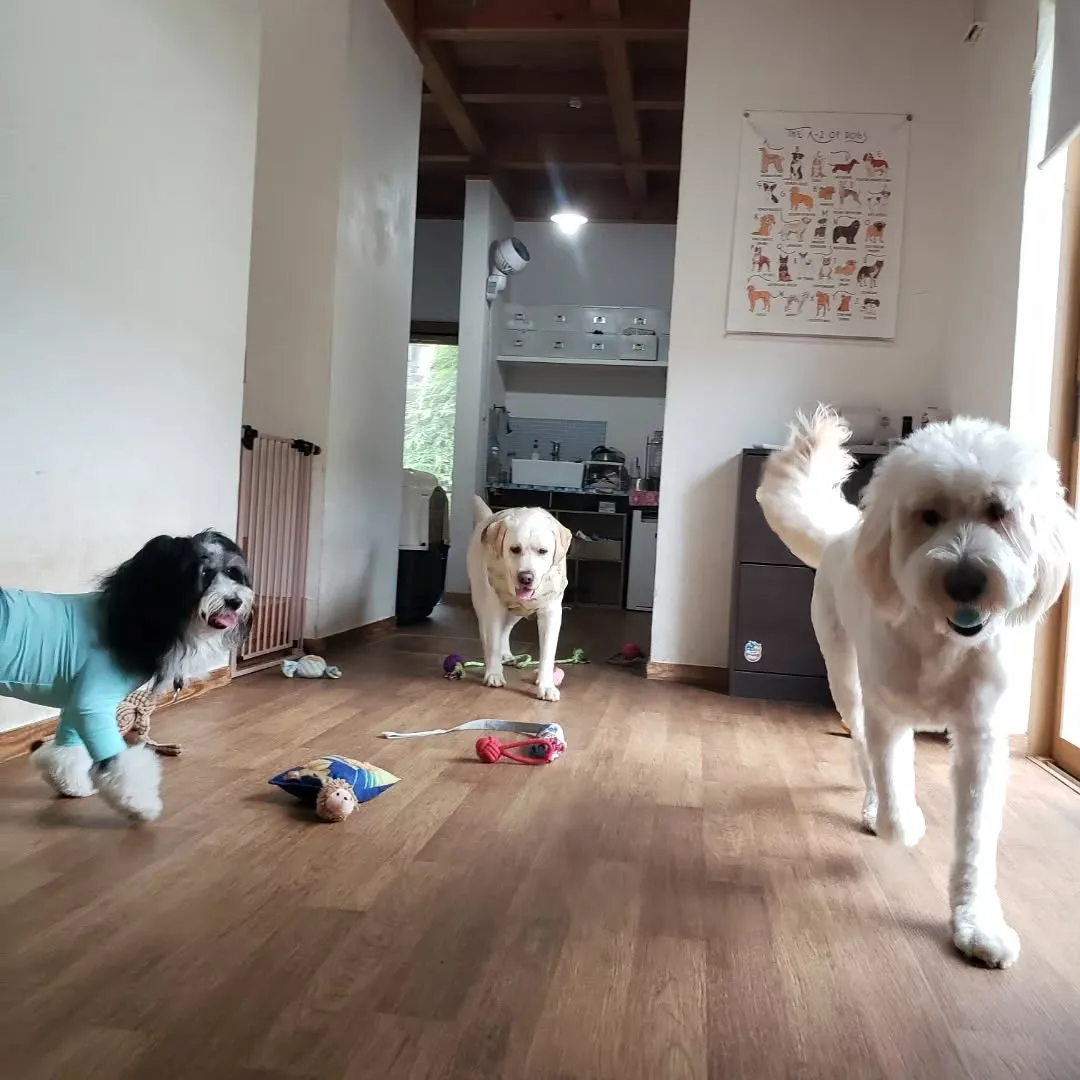 お昼はお外は暑いのでお部屋でおもちゃ遊び🎵