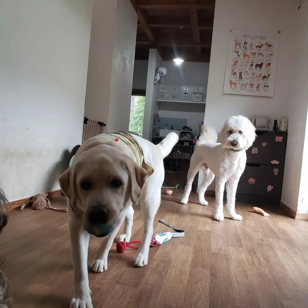 お昼はお外は暑いのでお部屋でおもちゃ遊び🎵