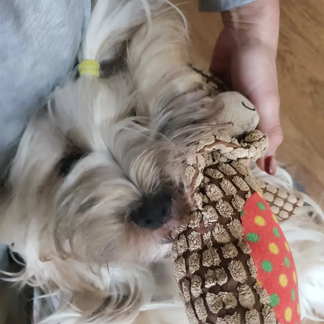 朝は暑いのでお部屋遊び🎵