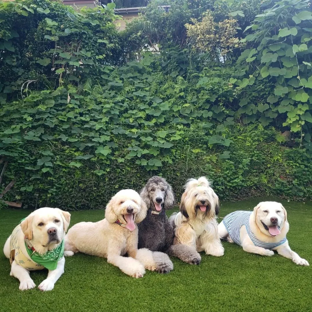 お泊まり組は朝からランで元気に遊びました😊