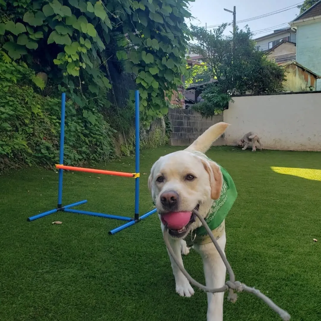 お泊まり組は朝からランで元気に遊びました😊