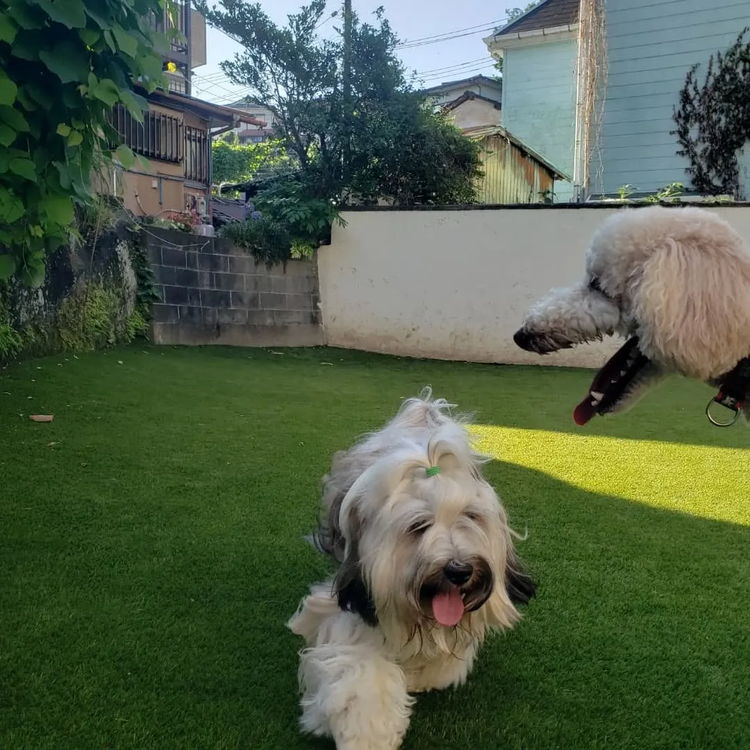 お泊まり組は朝からランで元気に遊びました😊