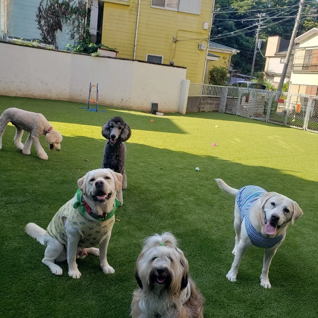 お泊まり組は朝からランで元気に遊びました😊