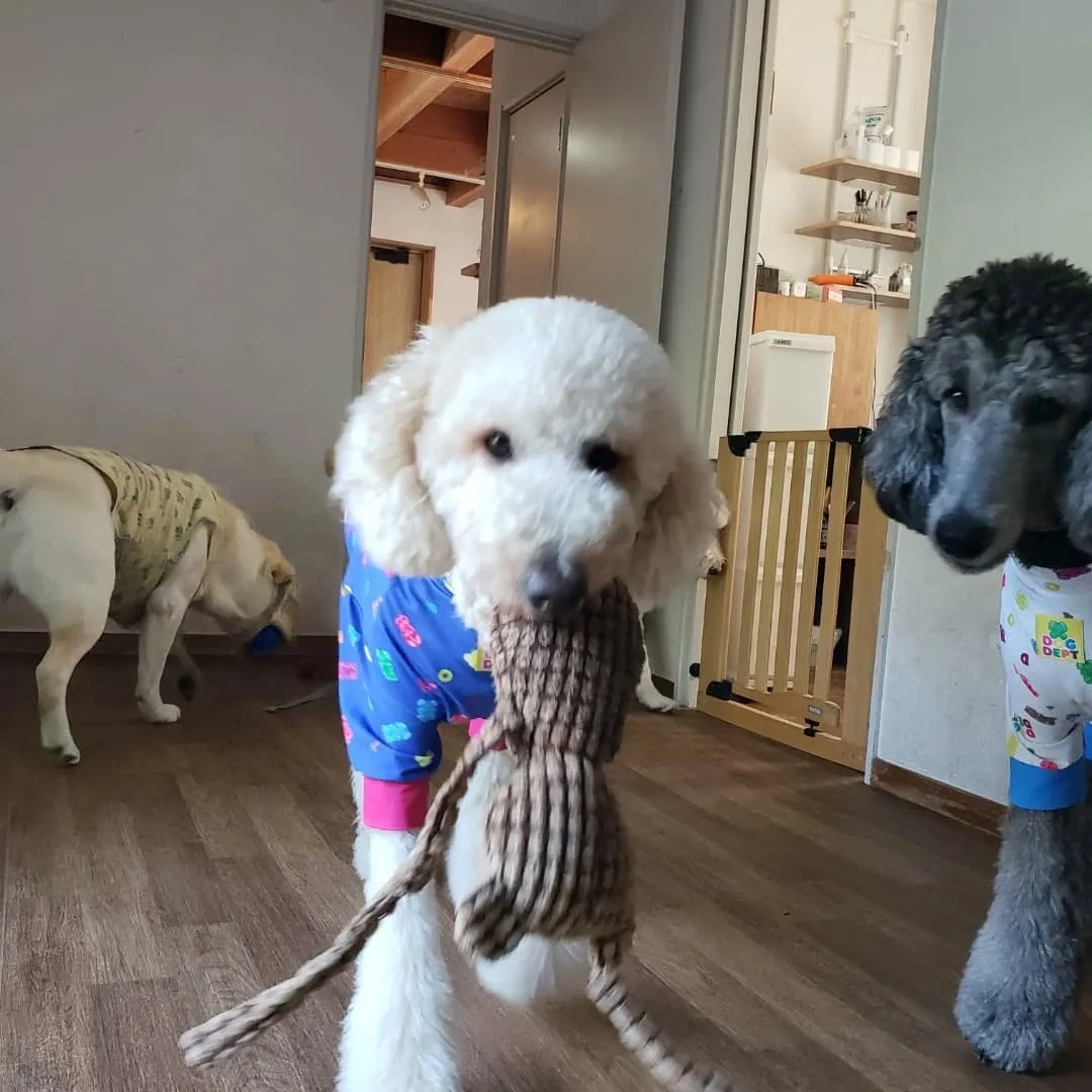 お昼はお部屋でおもちゃ遊び🎵