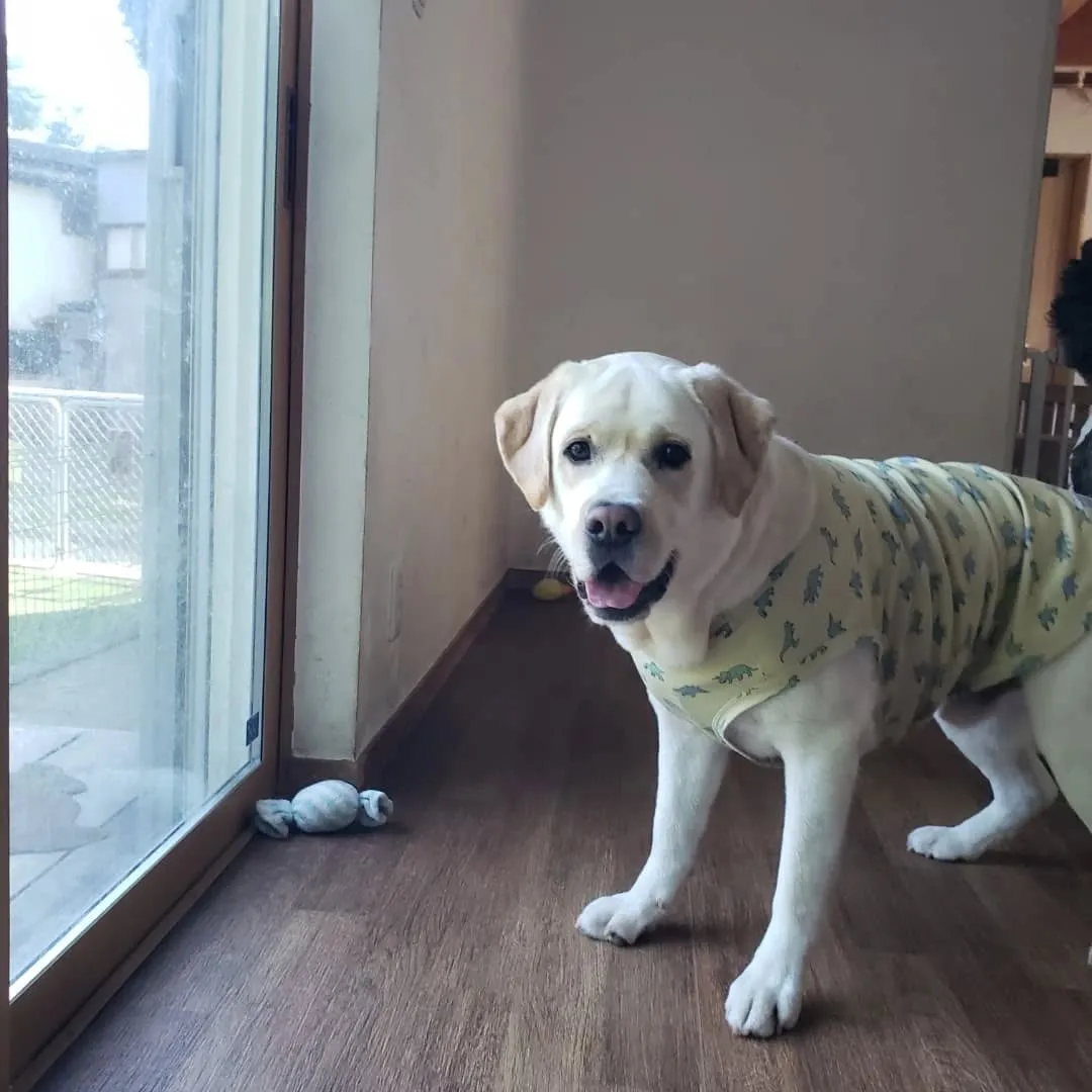 お昼はお部屋でおもちゃ遊び🎵
