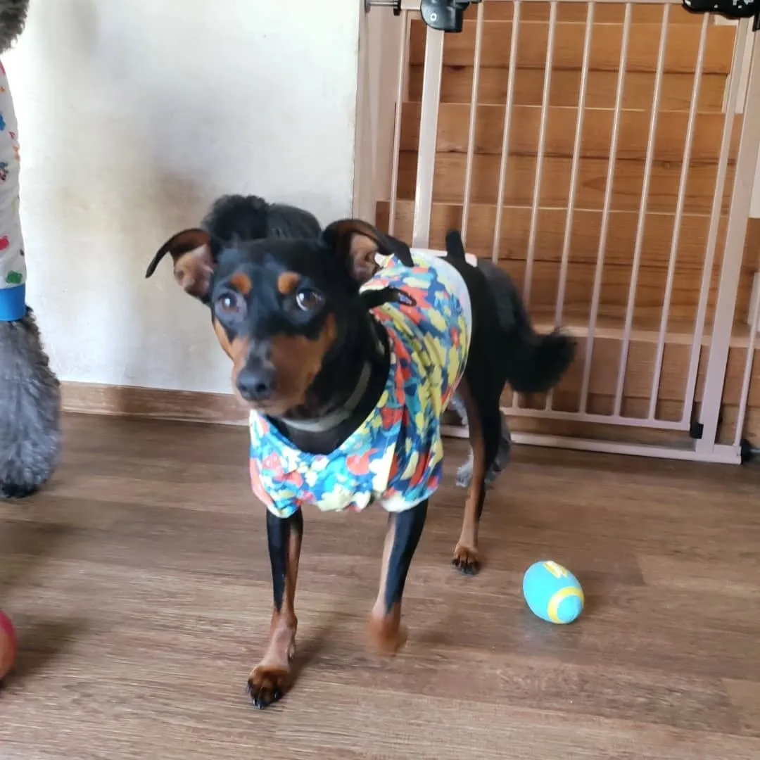 お昼はお部屋でおもちゃ遊び🎵