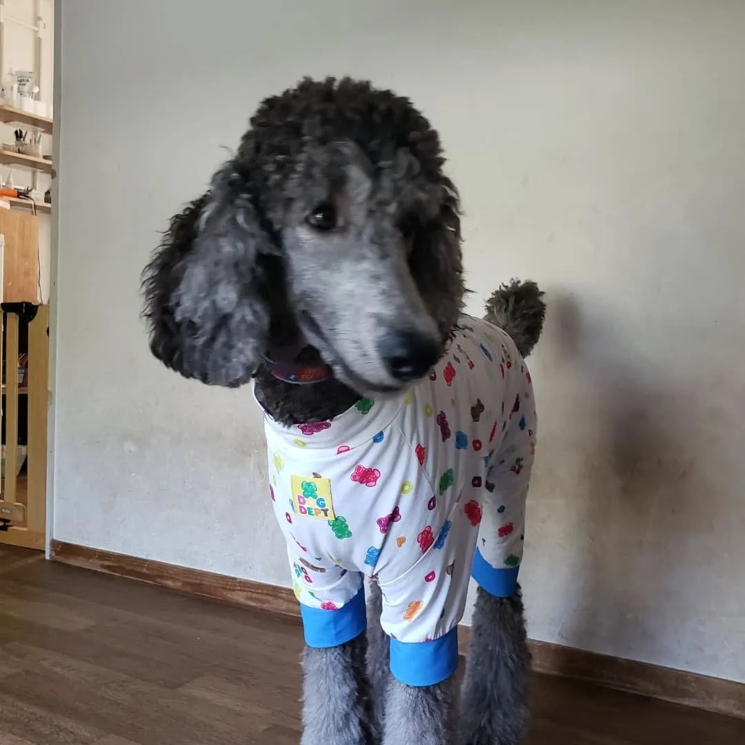 お昼はお部屋でおもちゃ遊び🎵