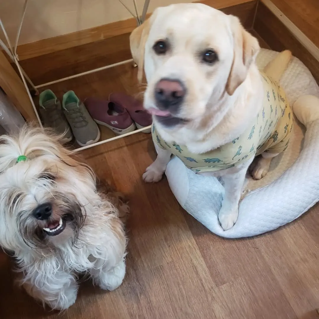 ランで遊んだ後は食事会🎵