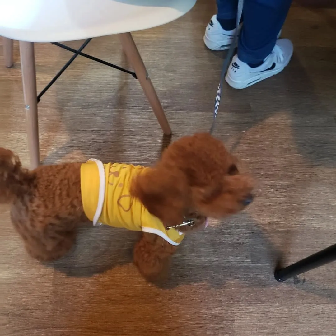 ランで遊んだ後は食事会🎵