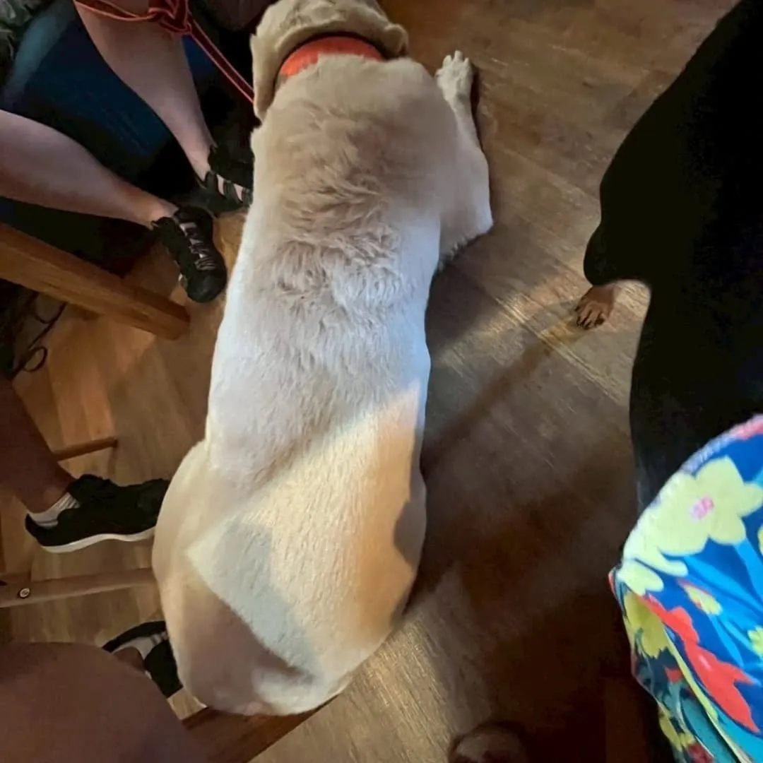 ランで遊んだ後は食事会🎵