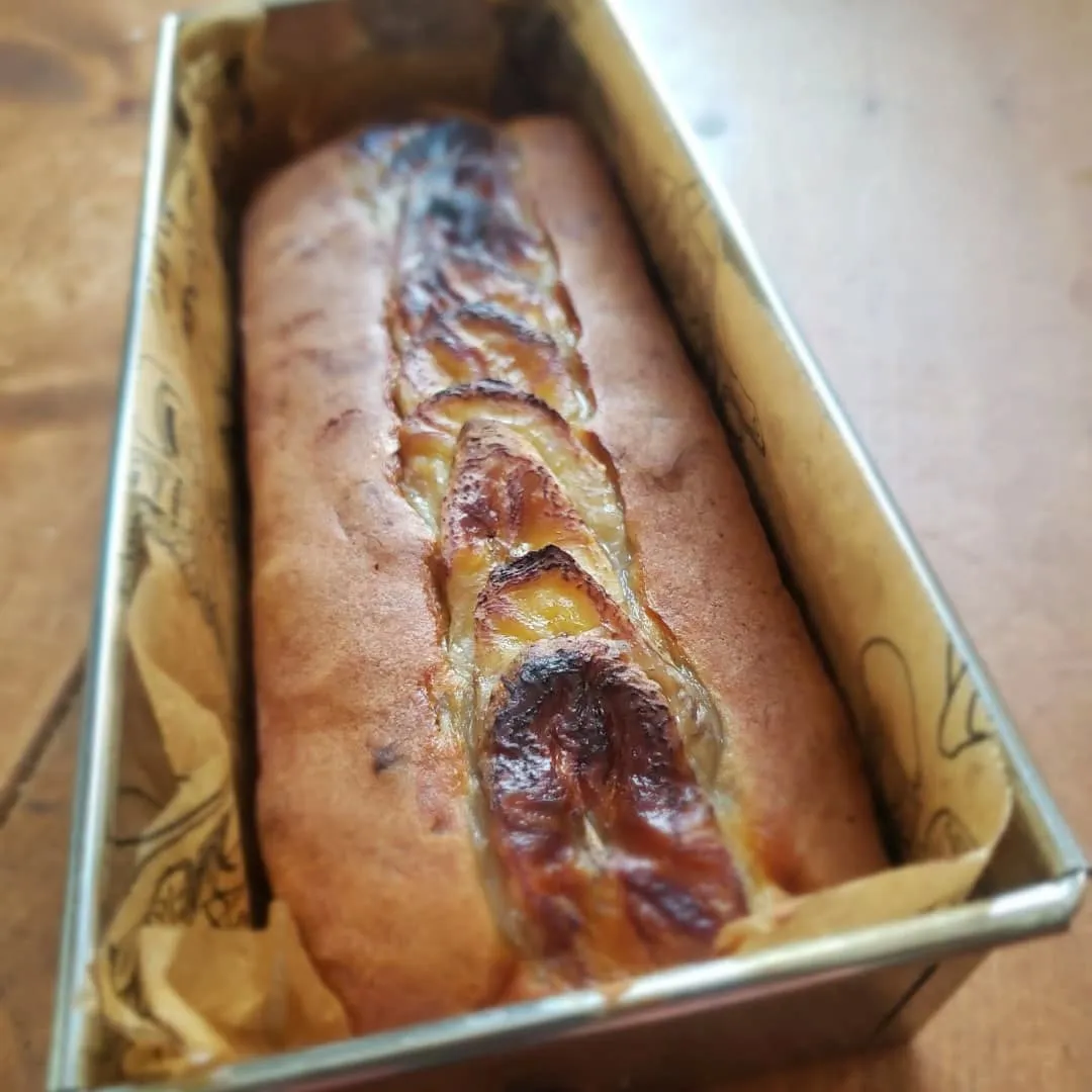 朝からランで遊ぶロデイとまーちゃん💓