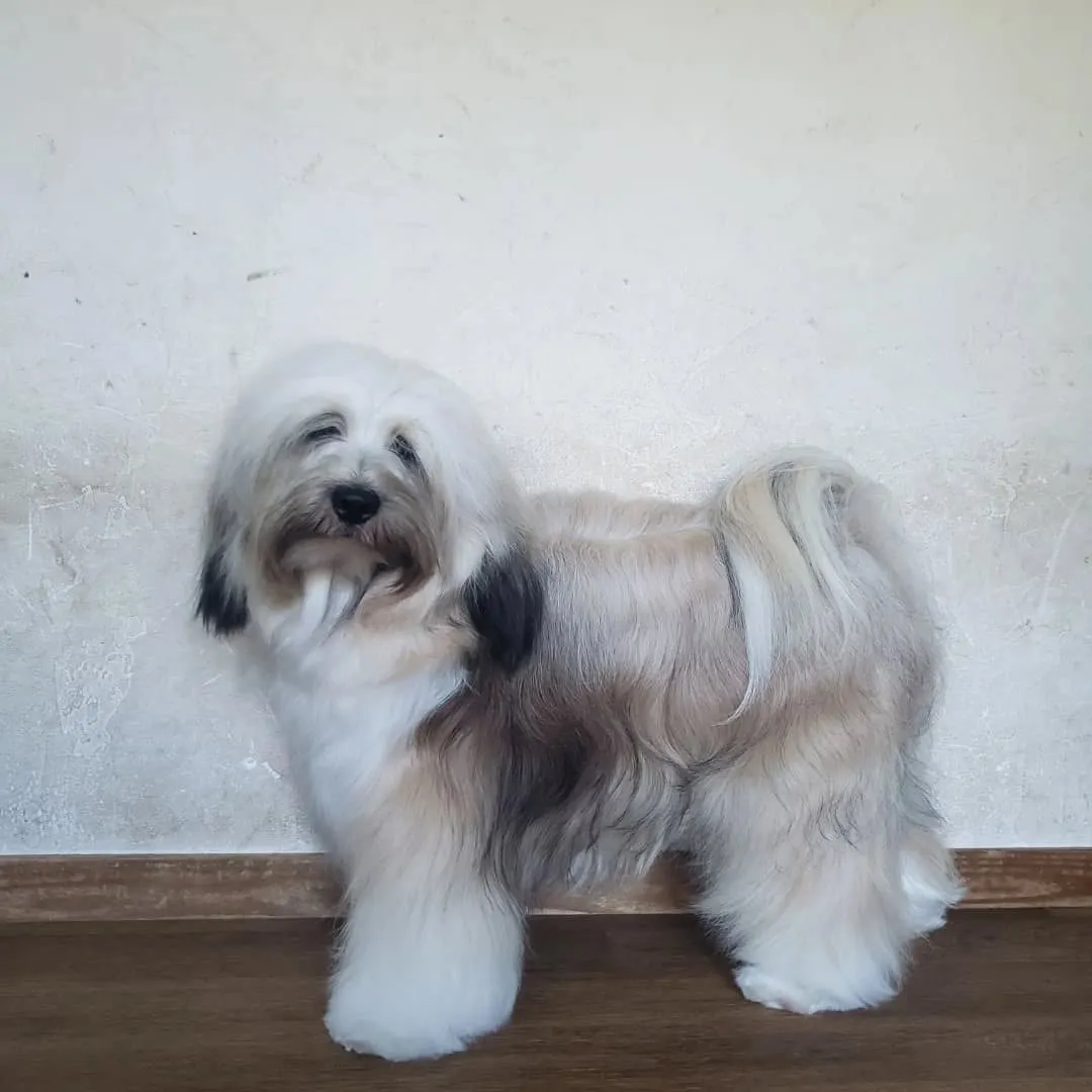 ワクチン接種のため病院へ。