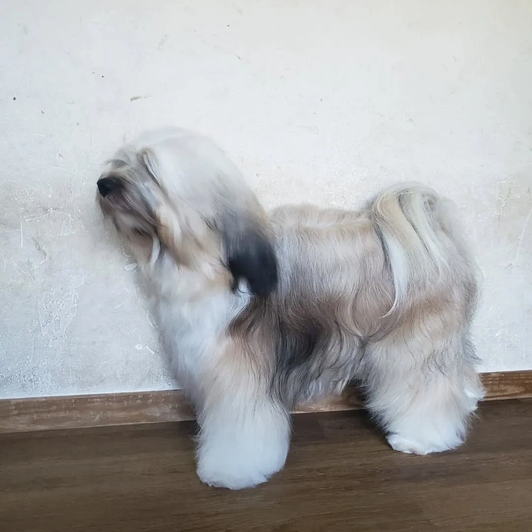 ワクチン接種のため病院へ。