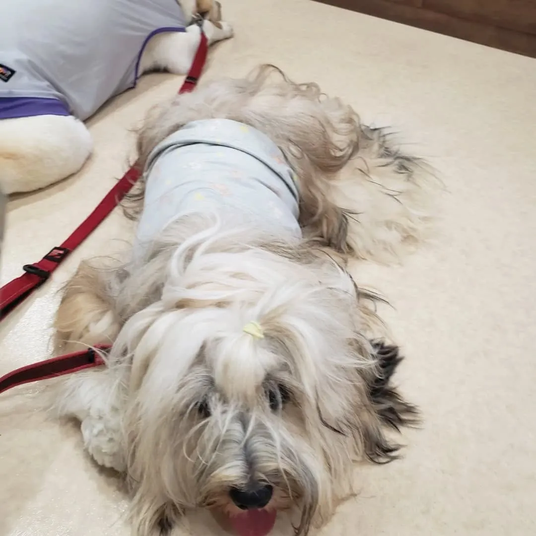 ワクチン接種のため病院へ。