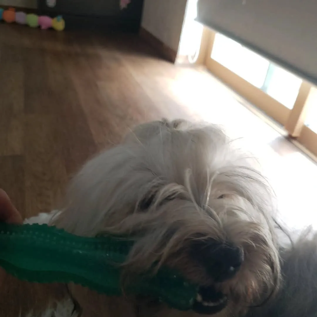 毎日暑いのでお部屋遊びが多くなりました🎵