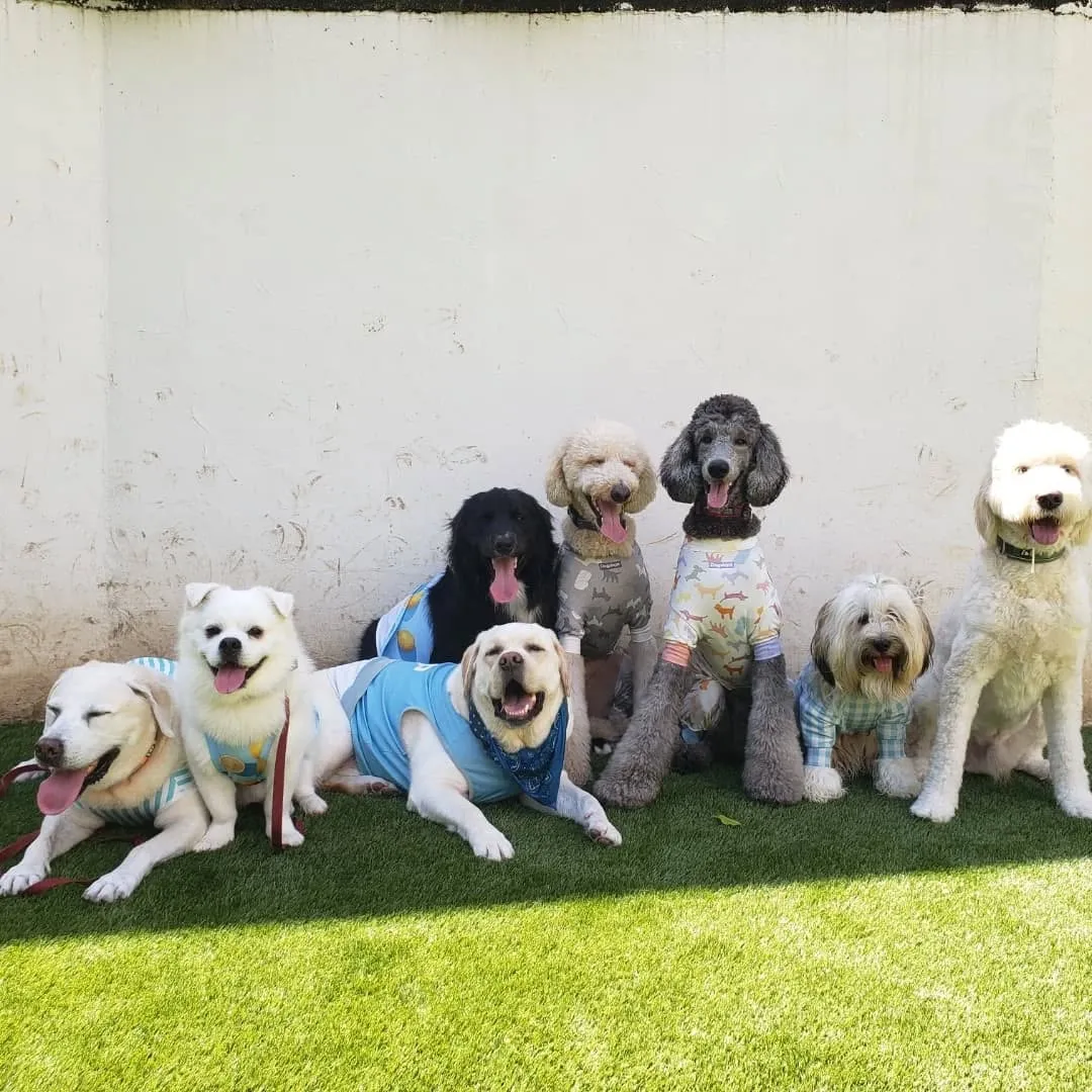 わんぱくわんこさんが揃いました😊