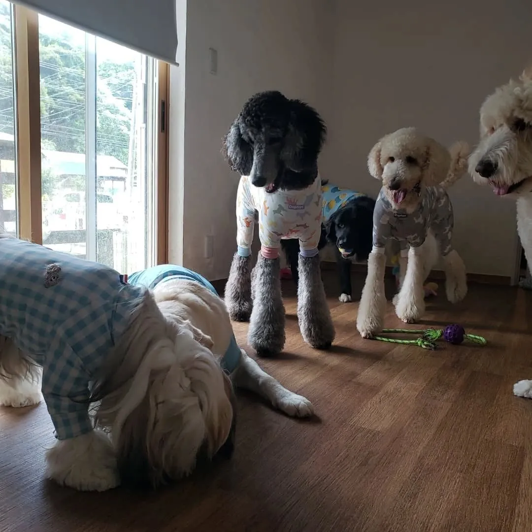 休憩したらプレイタイム🎵