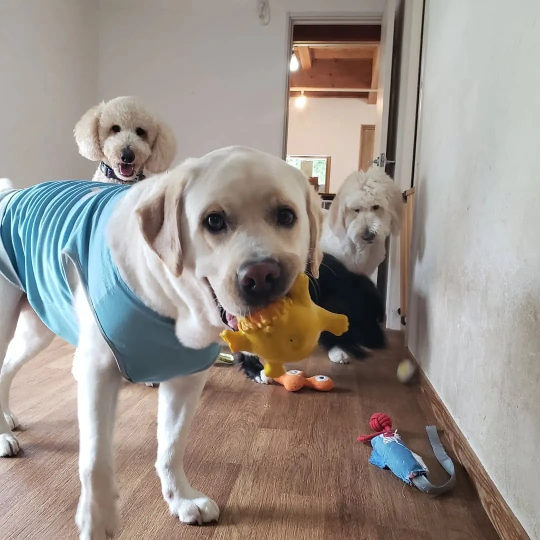 休憩したらプレイタイム🎵