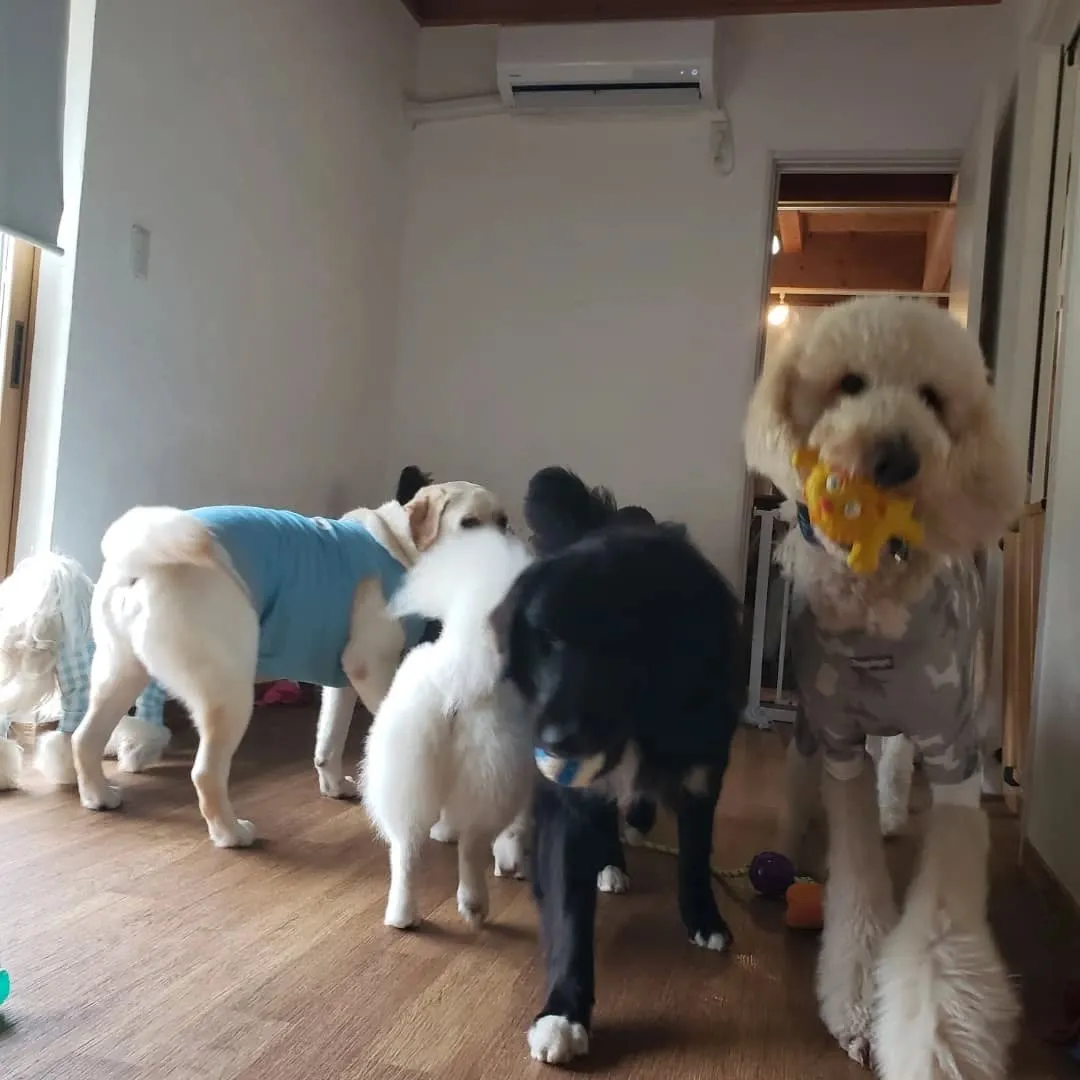 休憩したらプレイタイム🎵