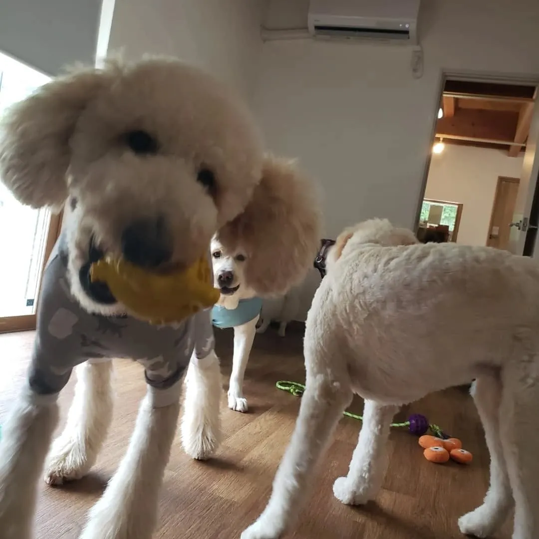 休憩したらプレイタイム🎵