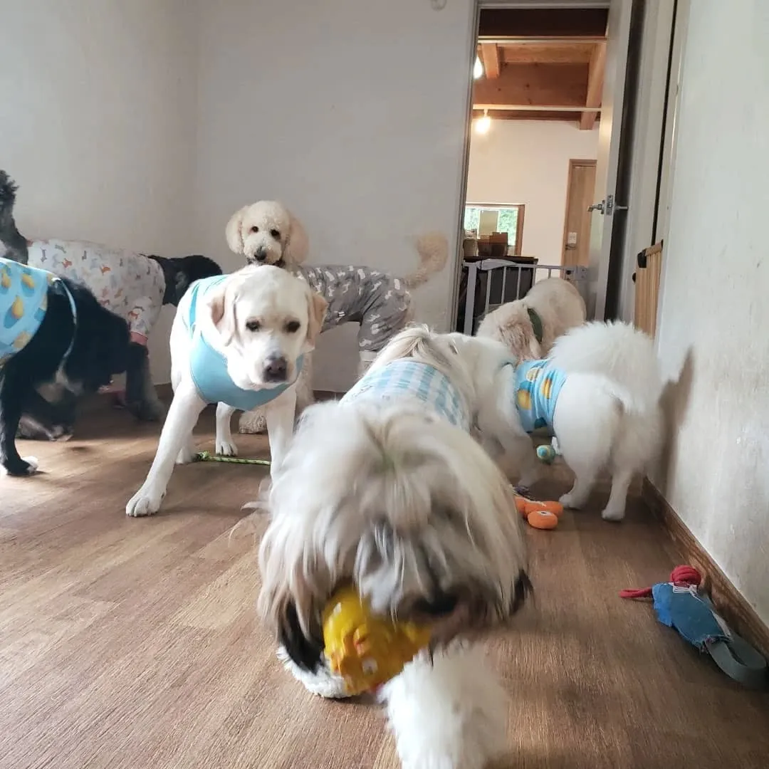 休憩したらプレイタイム🎵