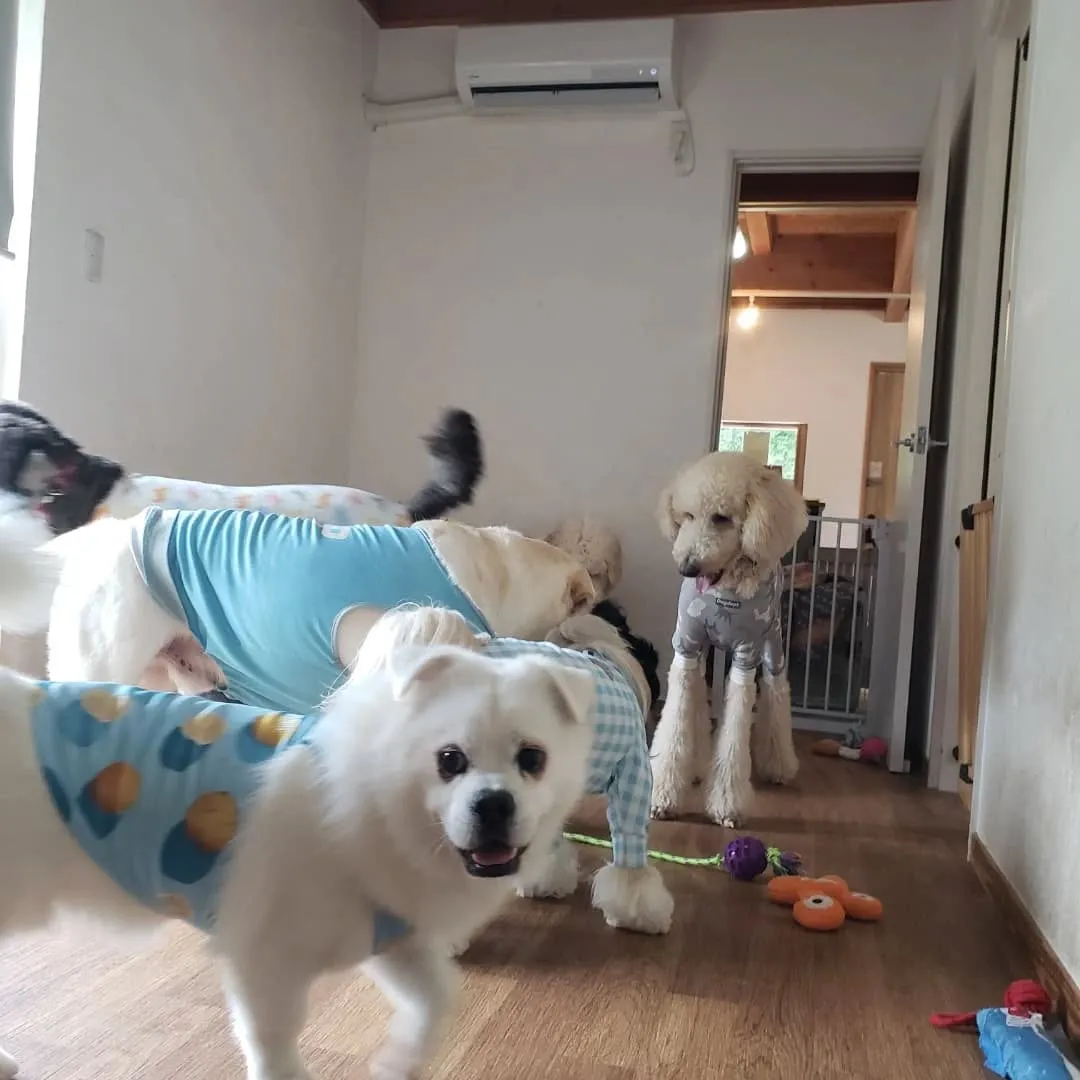 休憩したらプレイタイム🎵