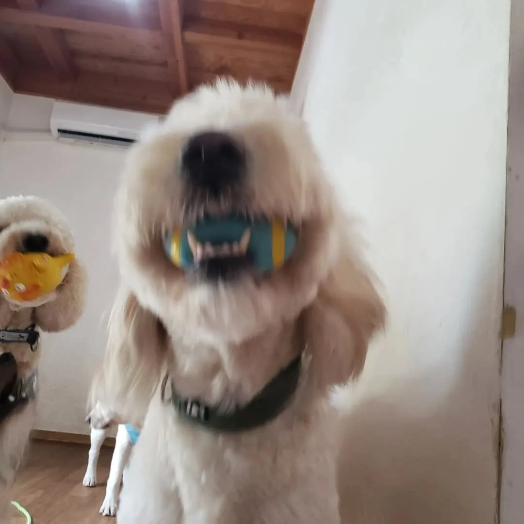 休憩したらプレイタイム🎵