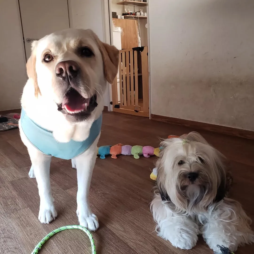 毎日の暑さにちょっとバテ気味かな😓