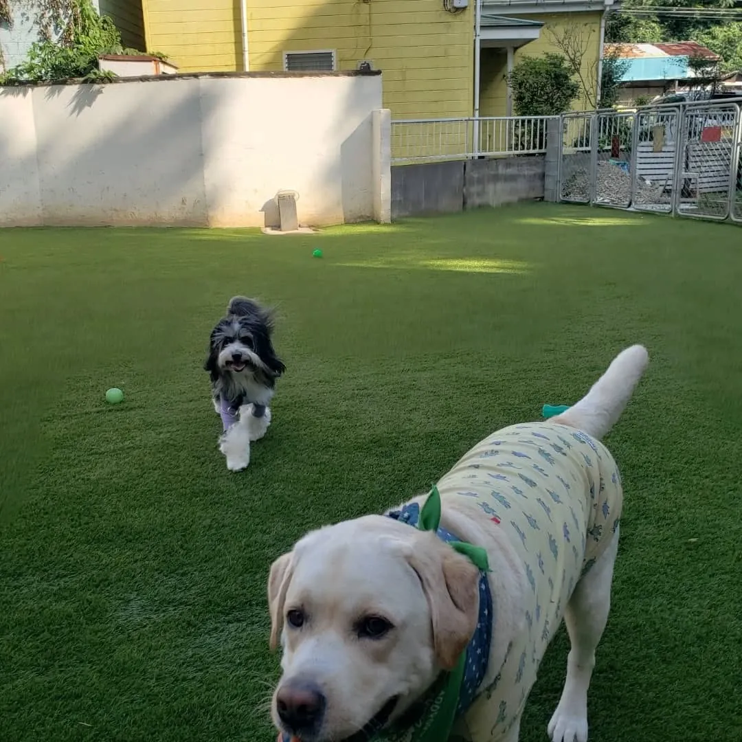 午前中はお部屋でおもちゃ遊び🎵