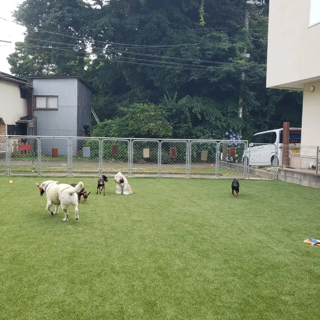 相変わらずロデイとケリイ君はワンプロしてるね😓